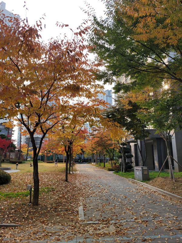 컨텐츠파일