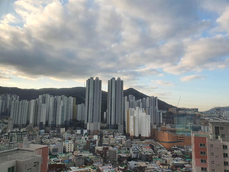 국제방랑자 
