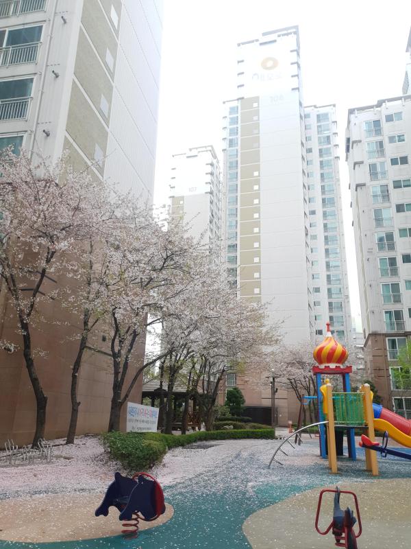 해모로