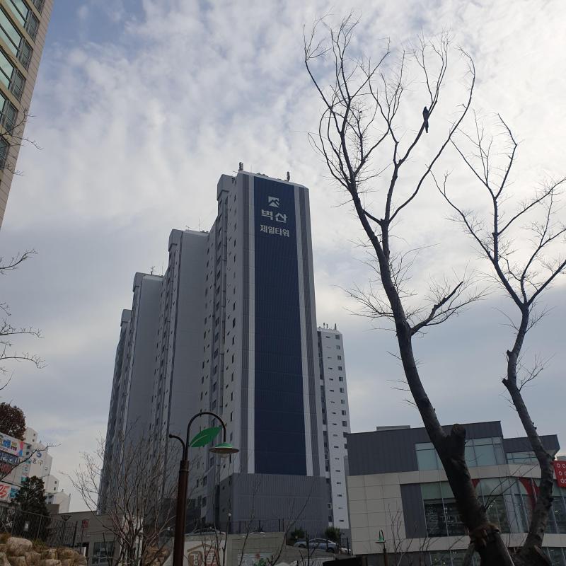 컨텐츠파일