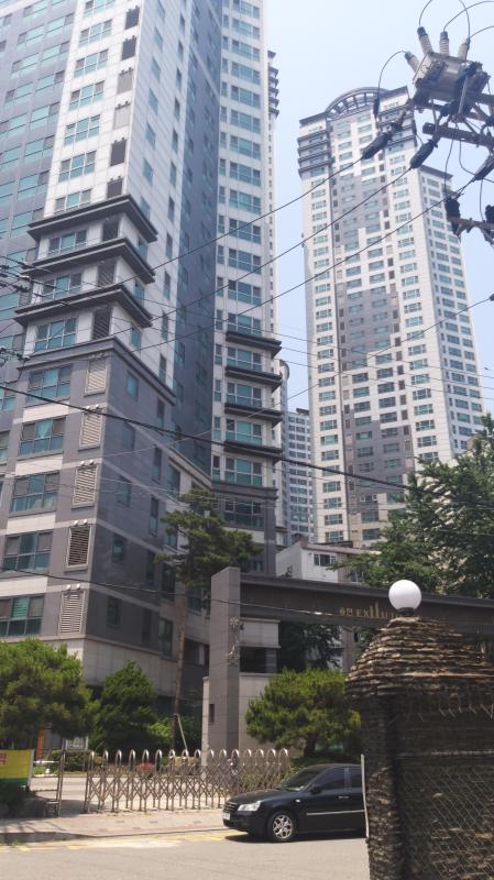 컨텐츠파일
