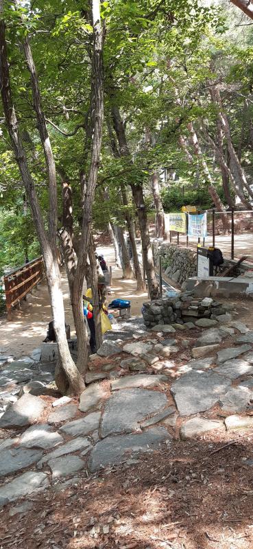 컨텐츠파일