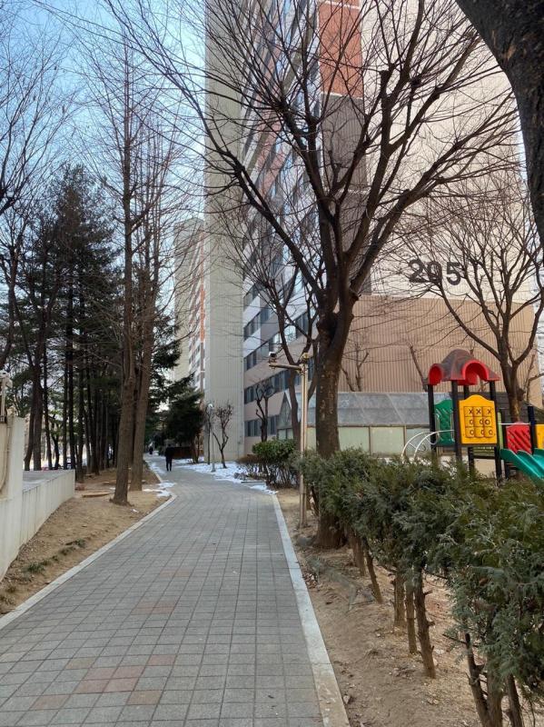 컨텐츠파일