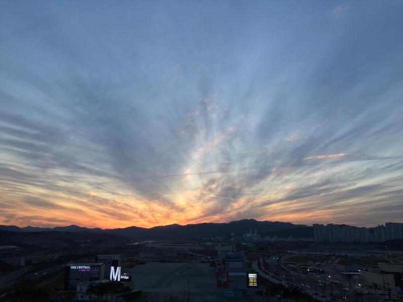 므옹이