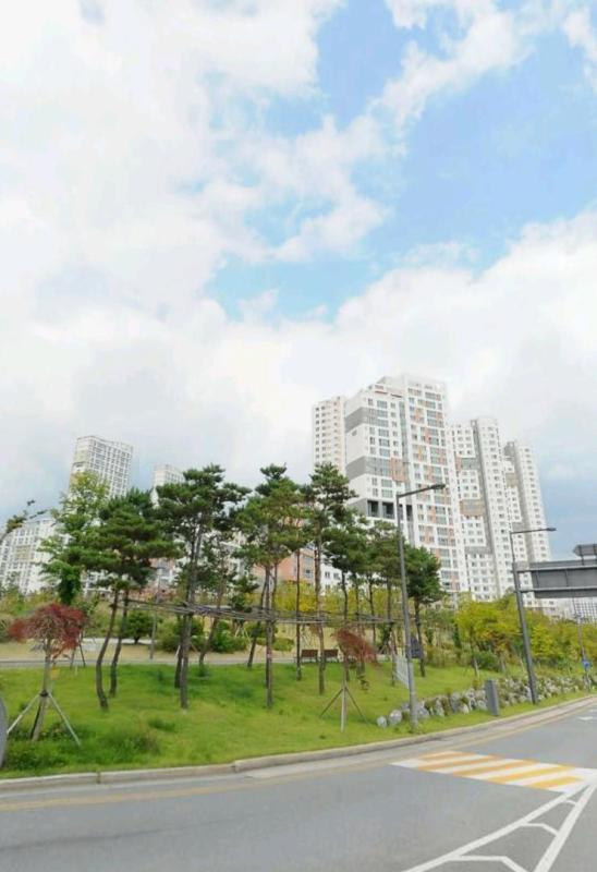 컨텐츠파일