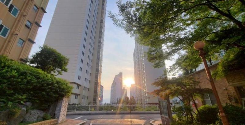 컨텐츠파일
