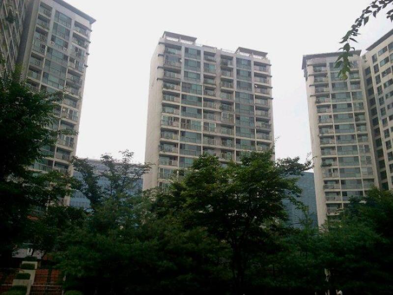 산소(DMC)