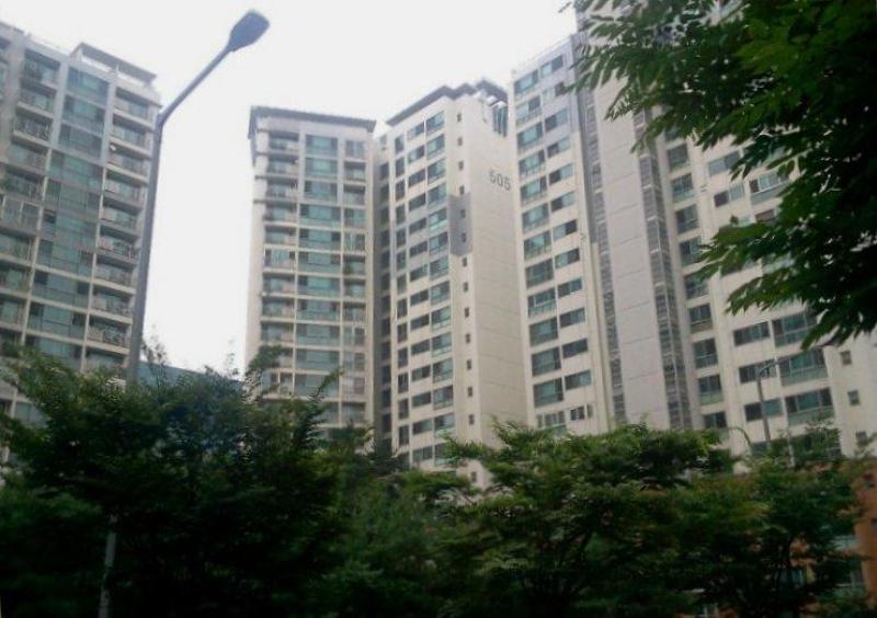 산소(DMC)