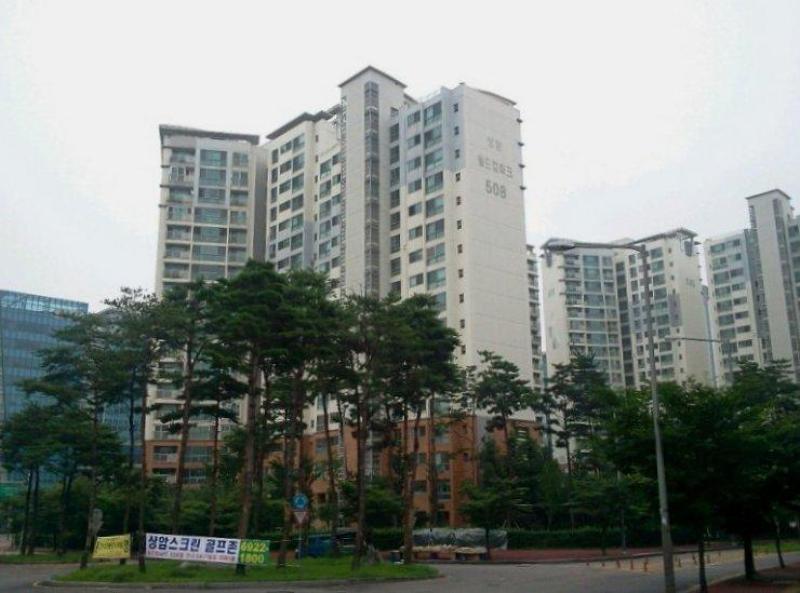 산소(DMC)