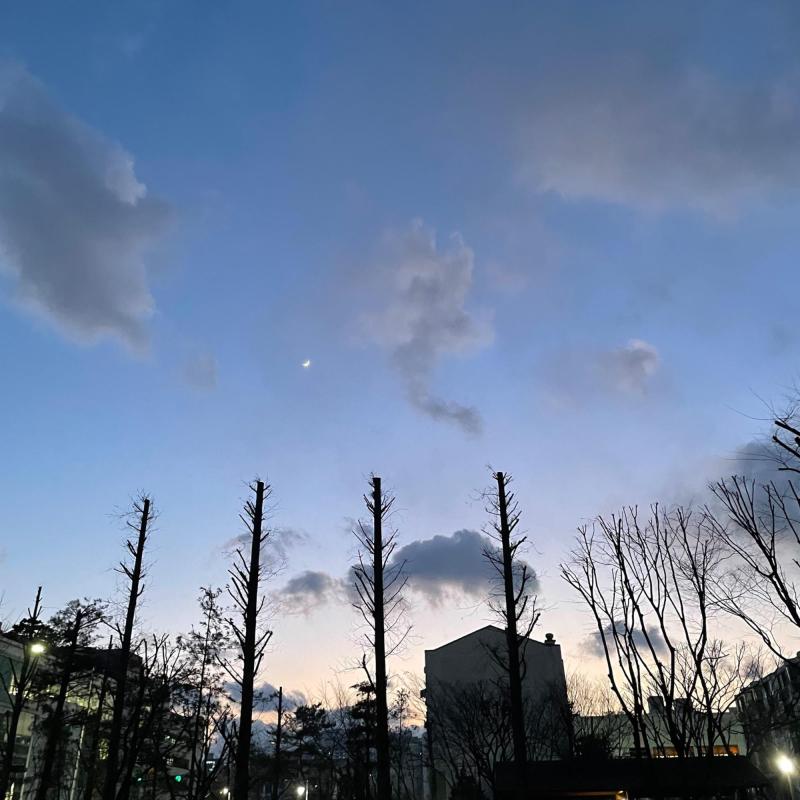 컨텐츠파일