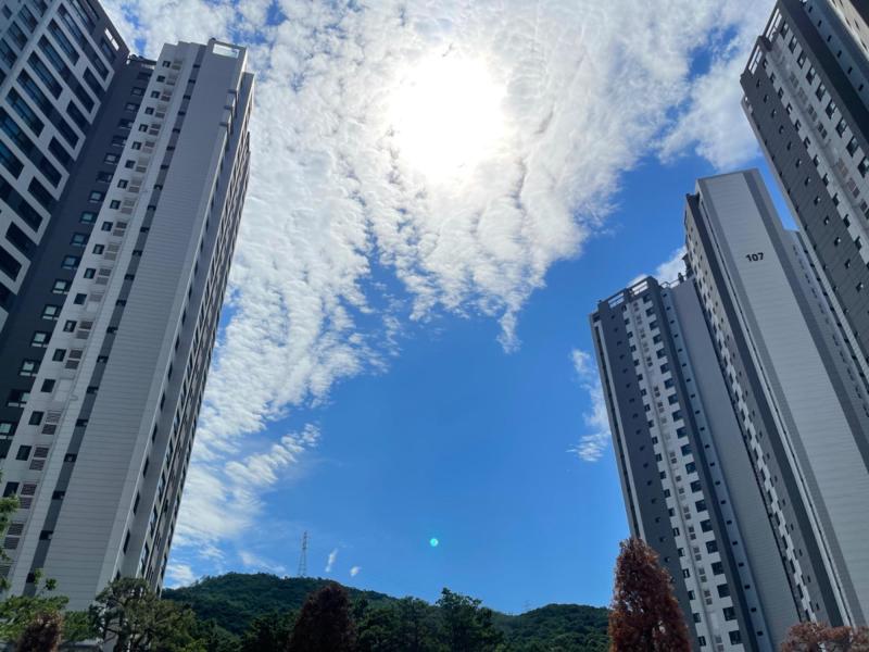 거대토끼의저주