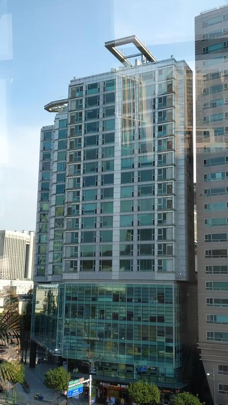 서초동사람