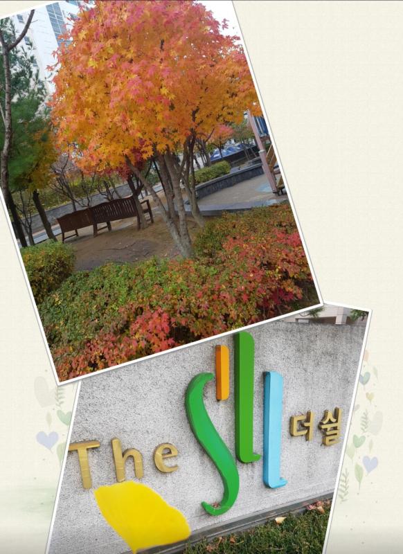 컨텐츠파일