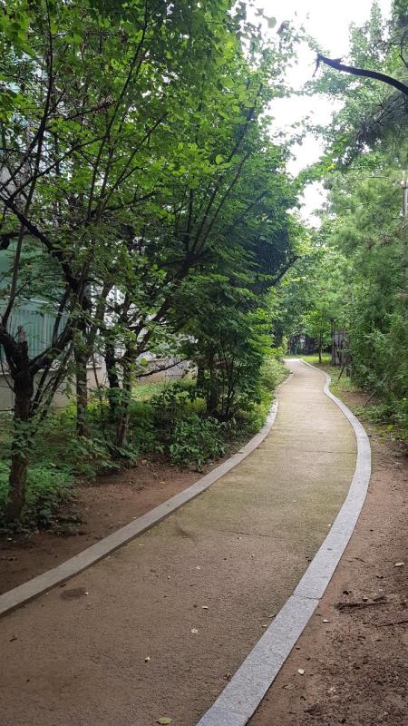 컨텐츠파일