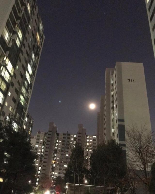 컨텐츠파일