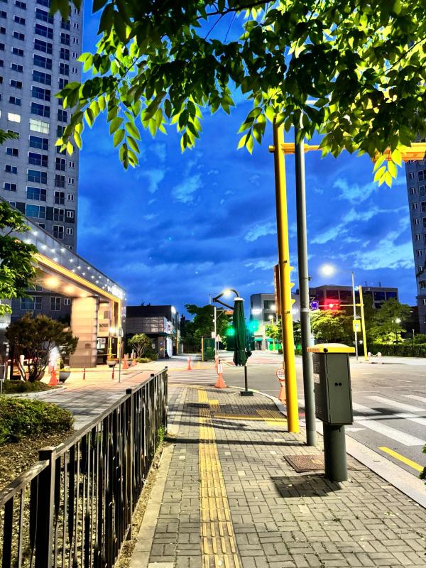 청라 꽃길만