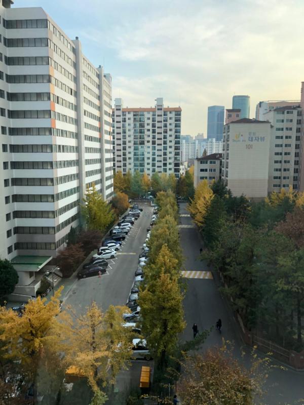 쌩유붸리캄솨