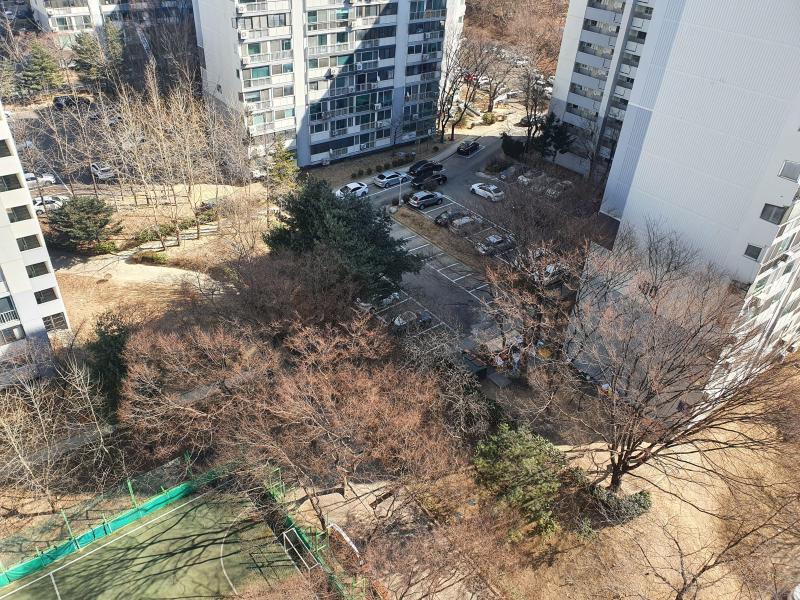 컨텐츠파일