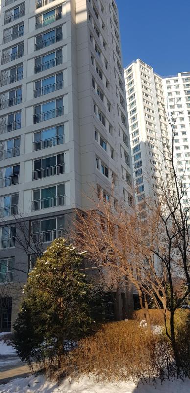 컨텐츠파일