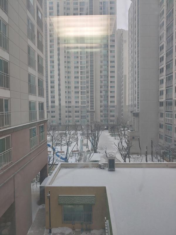 쩡쩡이