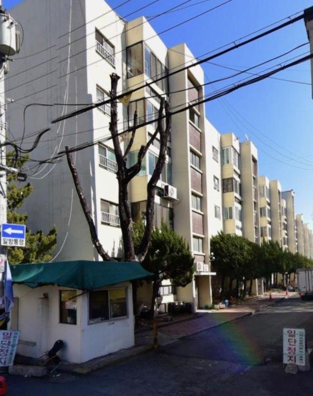 컨텐츠파일