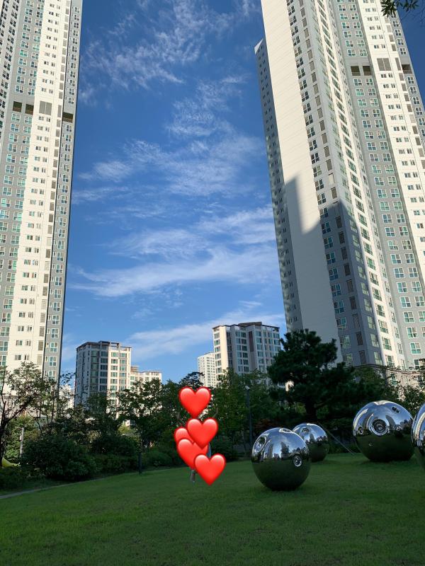 컨텐츠파일