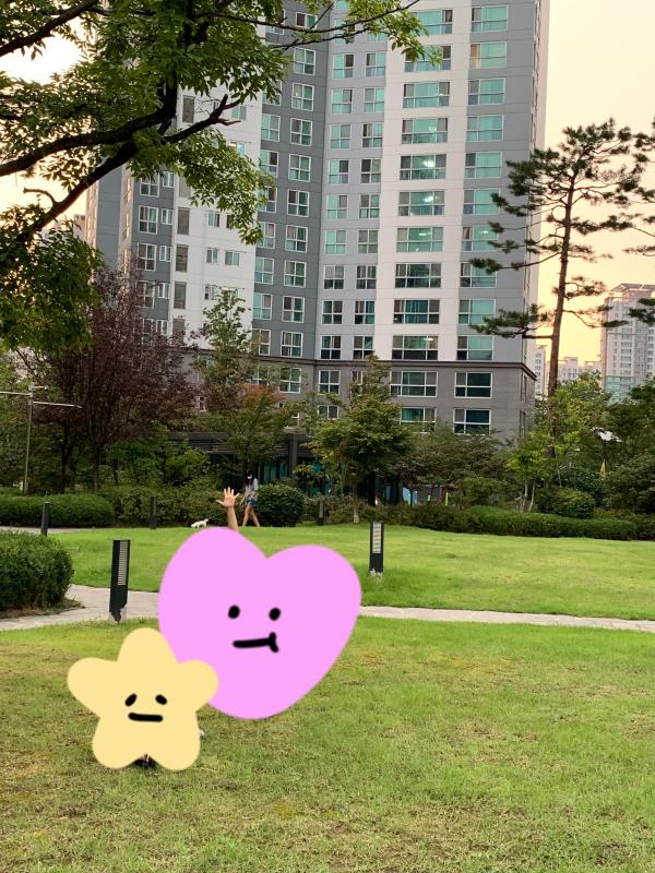 컨텐츠파일