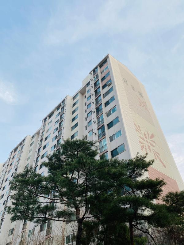 컨텐츠파일