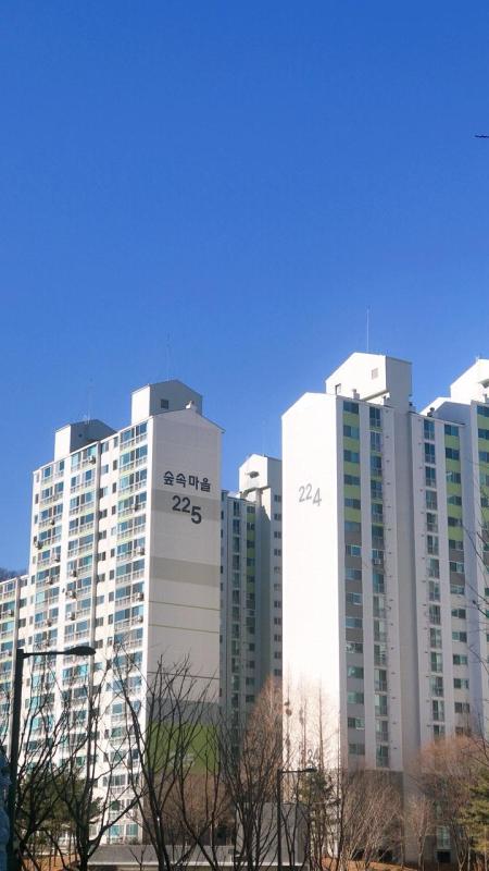 컨텐츠파일