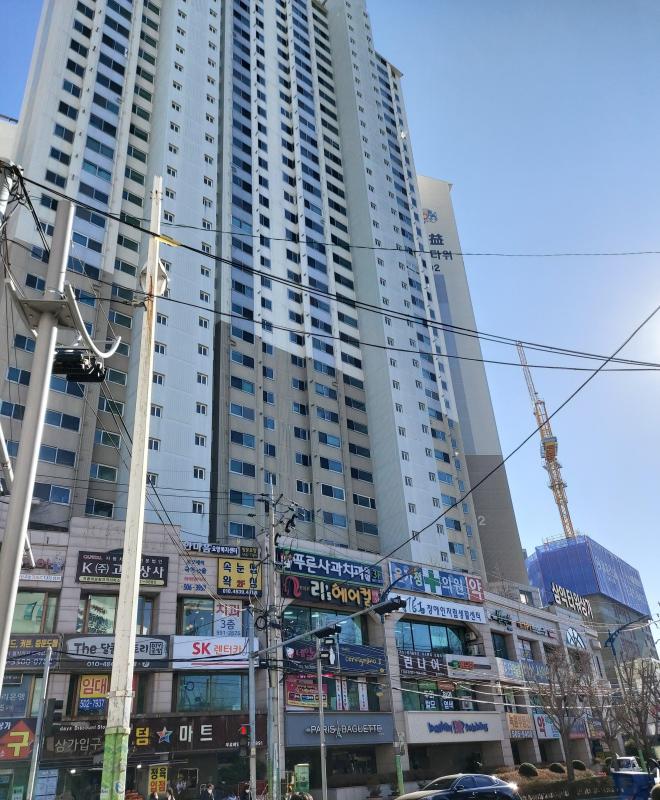 밀크티11
