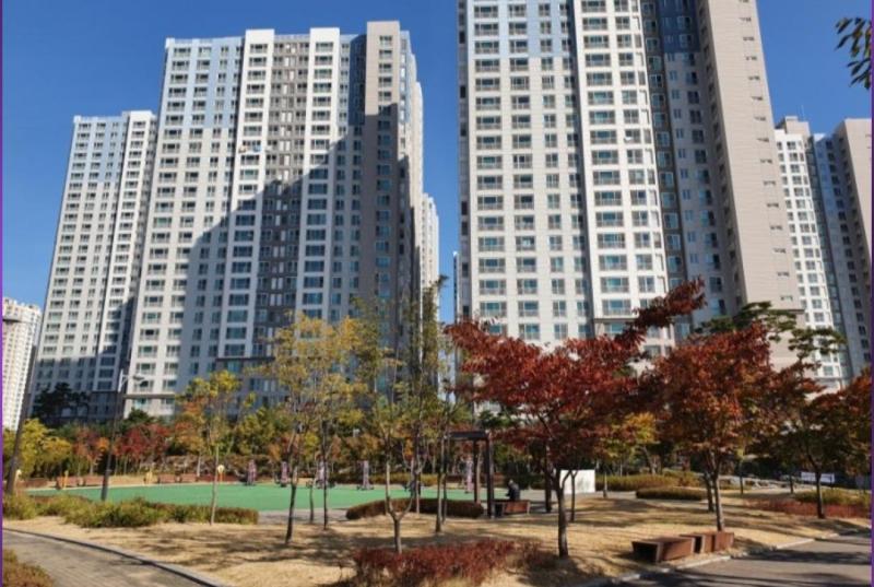 컨텐츠파일