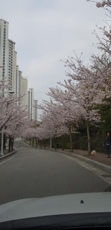 컨텐츠파일