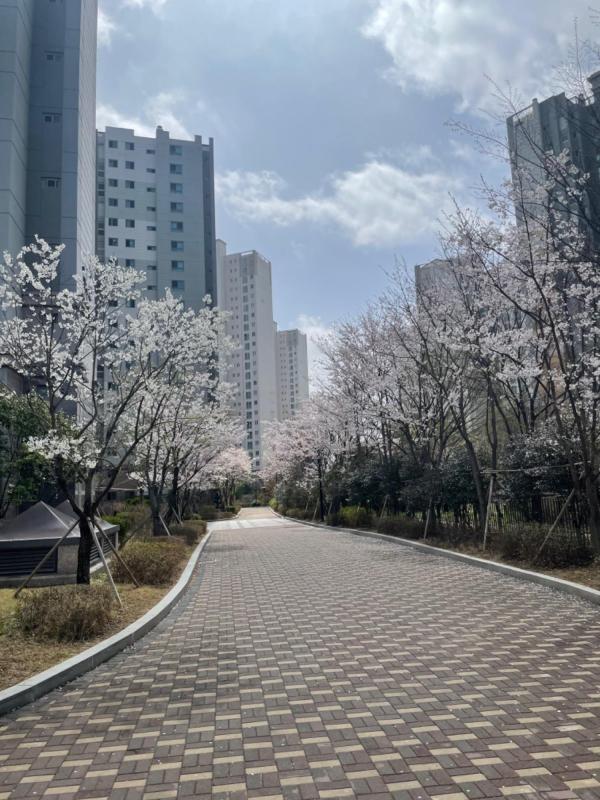 건물주