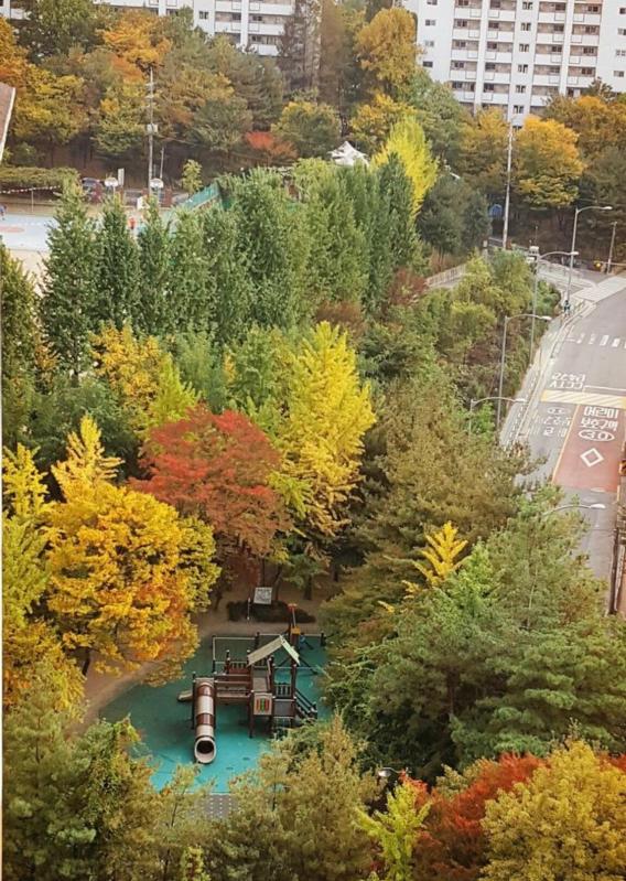 컨텐츠파일
