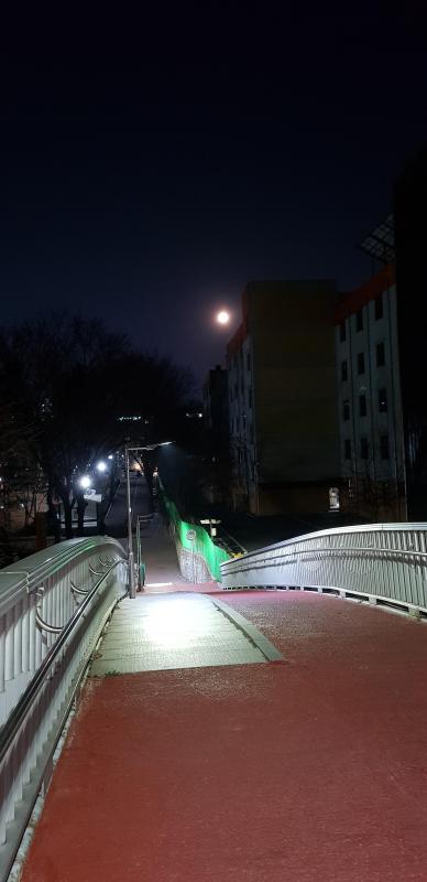 컨텐츠파일