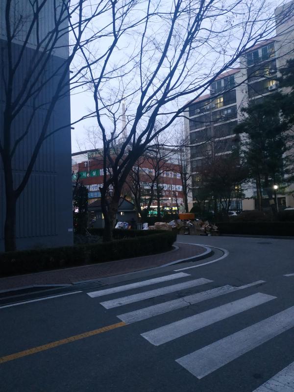 컨텐츠파일