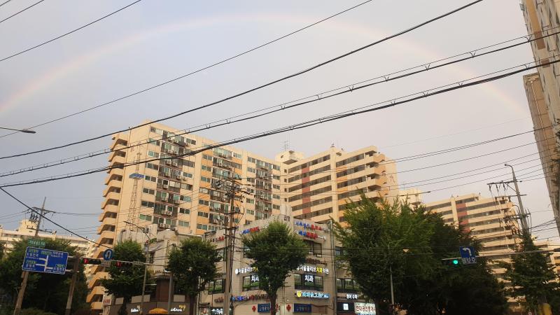 컨텐츠파일