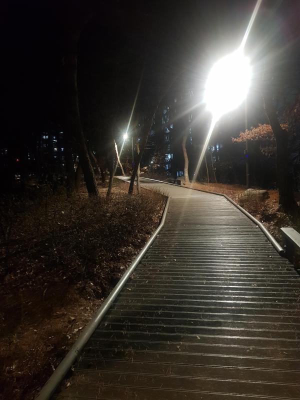 경제적자유