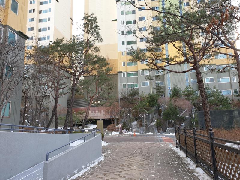 햇살눈부신날