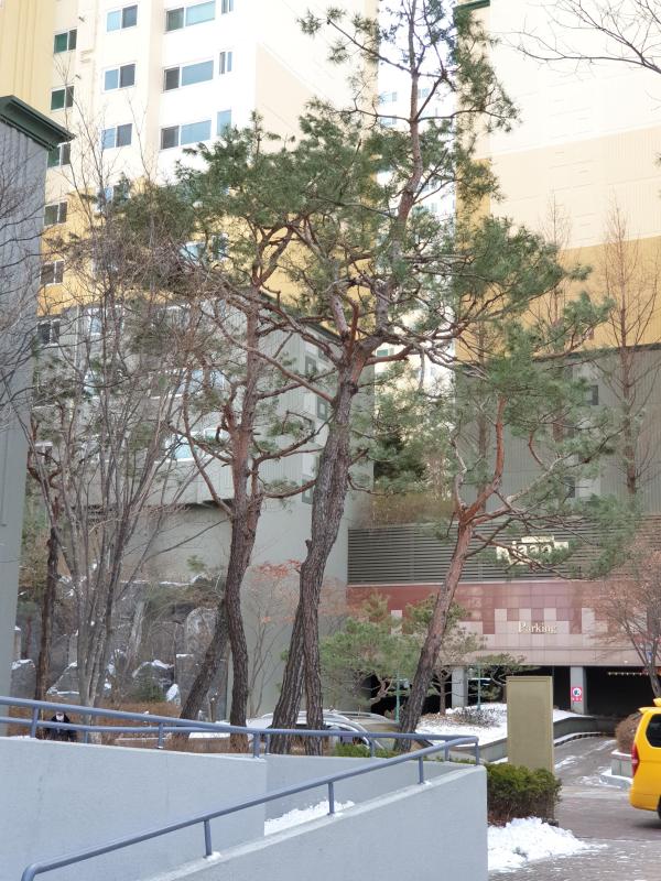 햇살눈부신날