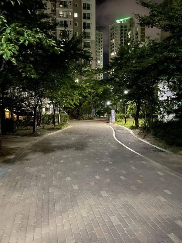 컨텐츠파일