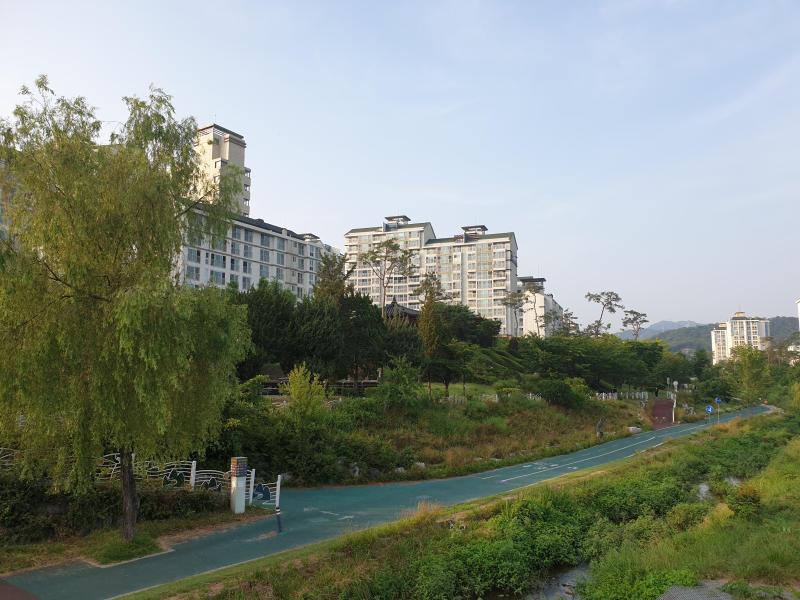 컨텐츠파일