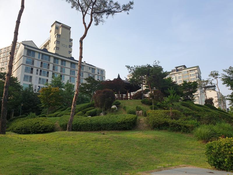 컨텐츠파일