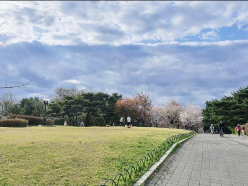 컨텐츠파일