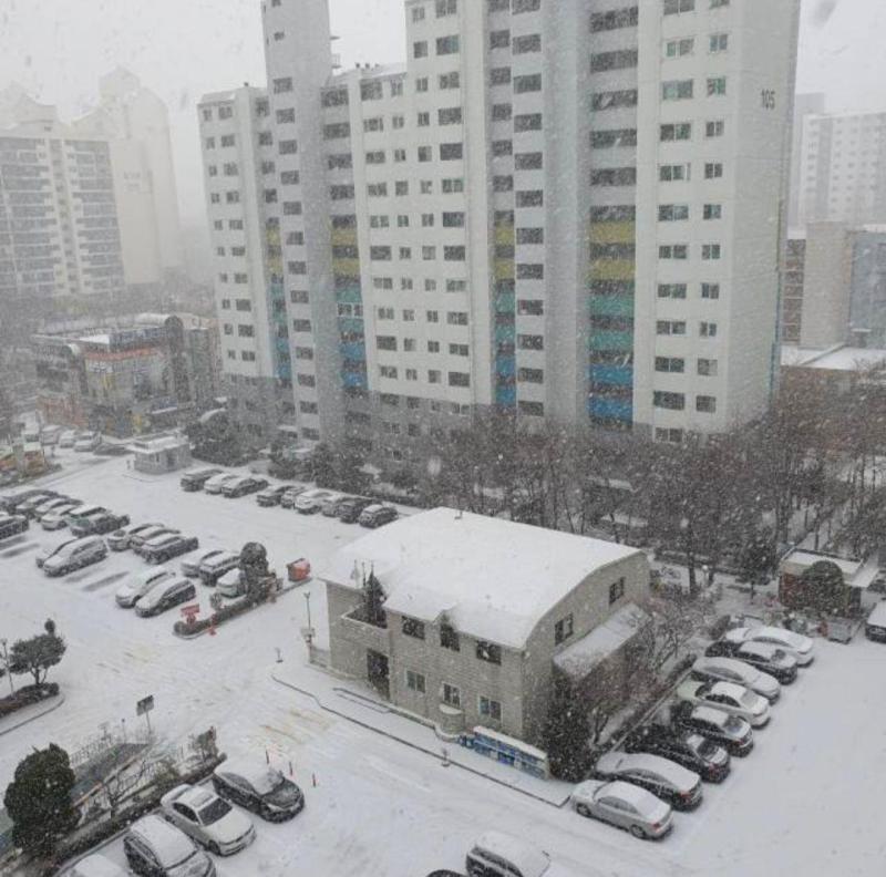 컨텐츠파일