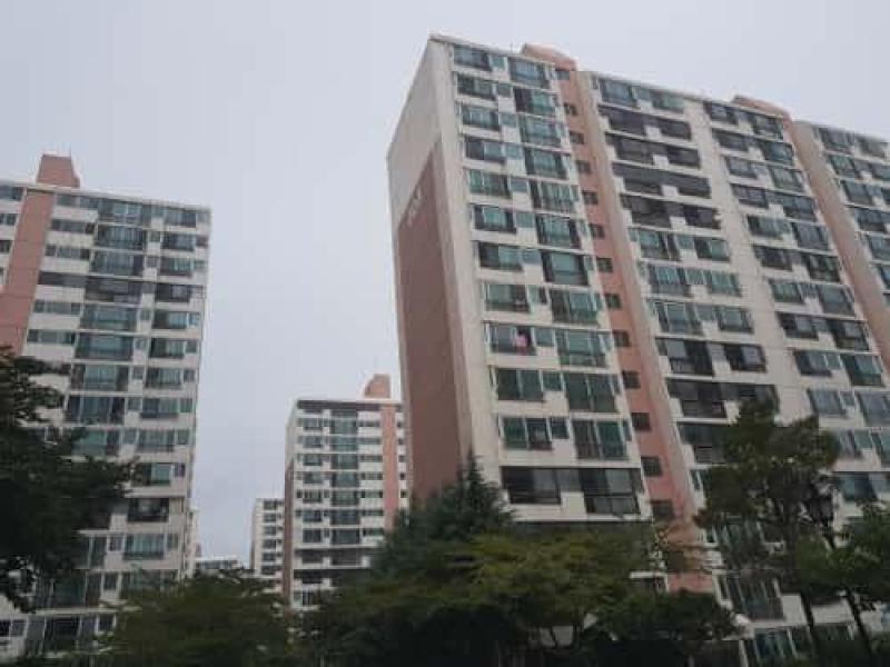 컨텐츠파일
