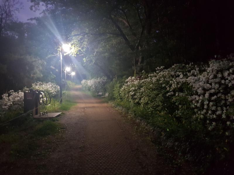 컨텐츠파일