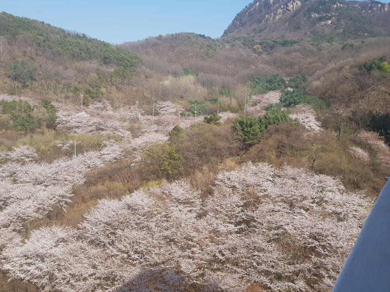 컨텐츠파일