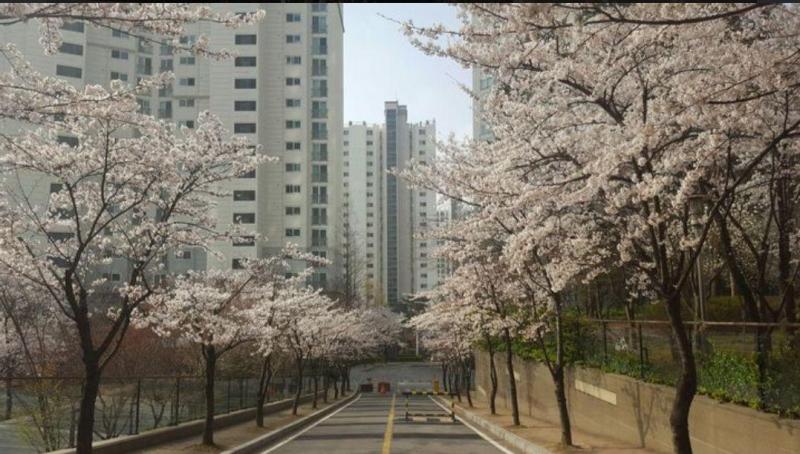 컨텐츠파일