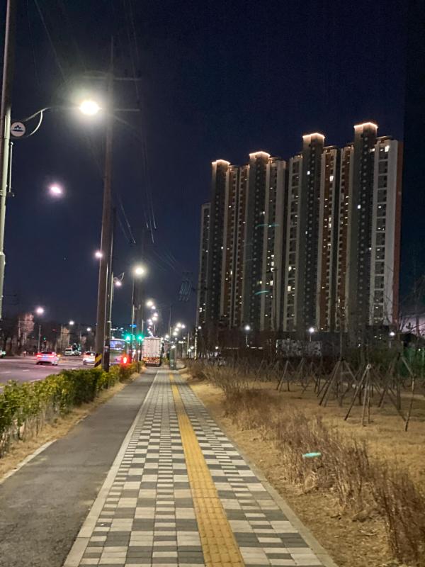 컨텐츠파일